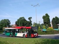 MAN NL313 #596