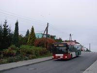 MAN NL313 #596