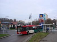 MAN NL313 #596