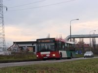 MAN NL313 #596