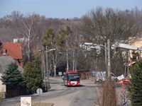 MAN NL313 #596