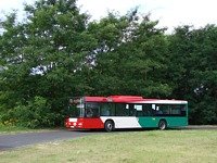 MAN NL313 #596