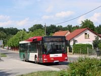 MAN NL313 #596