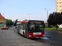 MAN NL313 #596