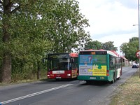 MAN NL313 #596