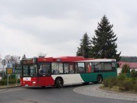MAN NL313 #596