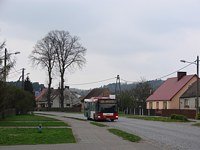 MAN NL313 #596