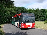 MAN NL313 #596
