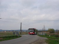 MAN NL313 #596