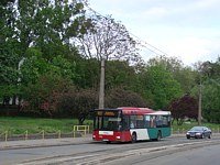MAN NL313 #596