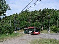 MAN NL313 #596