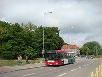 MAN NL313 #596