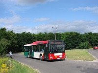 MAN NL313 #596