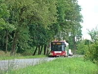 MAN NL313 #596