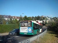 MAN NL313 #596