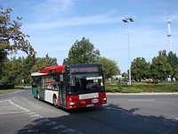 MAN NL313 #596