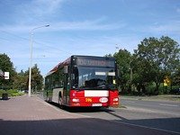 MAN NL313 #596