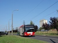 MAN NL313 #596