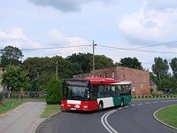 MAN NL313 #596