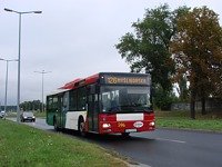 MAN NL313 #596