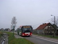 MAN NL313 #596