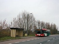 MAN NL313 #596