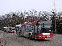 MAN NL313 #596