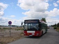 MAN NL313 #596