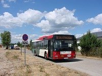 MAN NL313 #596