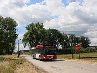 MAN NL313 #596