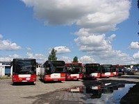 MAN NL313 #596