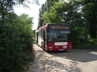 MAN NL313 #596
