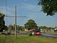 MAN NL313 #597