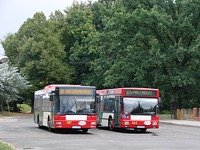 MAN NL313 #597