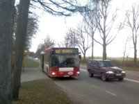 MAN NL313 #597