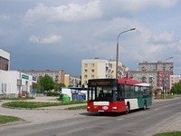 MAN NL313 #597