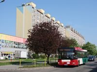 MAN NL313 #597
