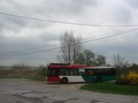MAN NL313 #597