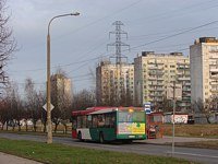MAN NL313 #597