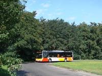 MAN NL283 Lion's City #598