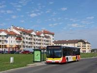 Zdj�cie miesi�ca