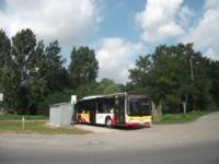 Zdj�cie miesi�ca