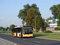 Zdj�cie miesi�ca