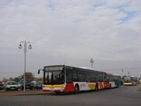 MAN NL283 Lion's City #598