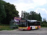 MAN NL283 Lion's City #598