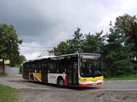 MAN NL283 Lion's City #598