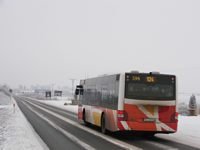 MAN NL283 Lion's City #598