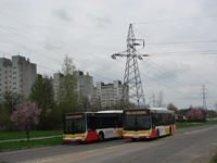 MAN NL283 Lion's City #598