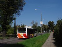MAN NL283 Lion's City #598