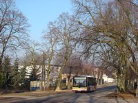 MAN NL283 Lion's City #598